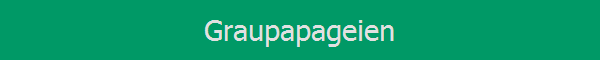 Graupapageien